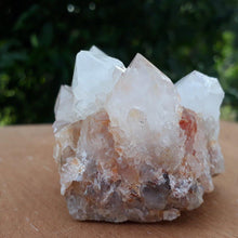 Load image into Gallery viewer, Clear and Milky Cactus Quartz with Citrine crystals