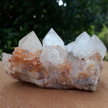 Load image into Gallery viewer, Clear and Milky Cactus Quartz with Citrine crystals