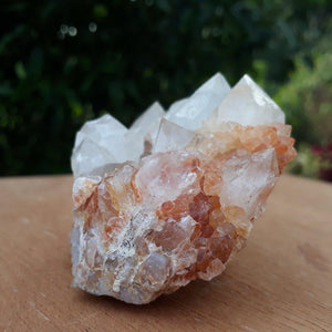 Clear and Milky Cactus Quartz with Citrine crystals