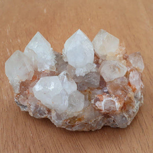 Clear and Milky Cactus Quartz with Citrine crystals