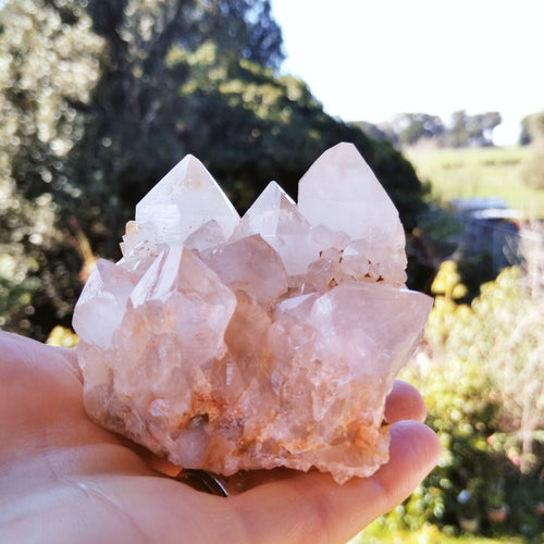 A real gem - large clear and milky Quartz crystals