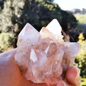 A real gem - large clear and milky Quartz crystals