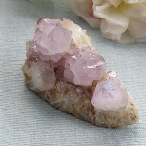 5 Point Spirit Quartz Crystal Cluster in Light Purple-ZimZan Gemstones