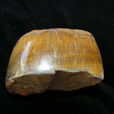 Tiger's Eye - South Africa