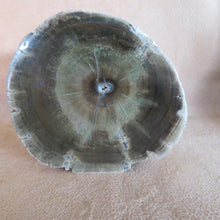 Load image into Gallery viewer, Petrified Wood Log - Zimbabwe-ZimZan Gemstones