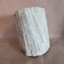 Load image into Gallery viewer, Petrified Wood Log - Zimbabwe-ZimZan Gemstones