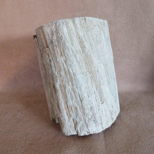 Petrified Wood Log - Zimbabwe-ZimZan Gemstones