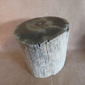 Petrified Wood Log - Zimbabwe-ZimZan Gemstones