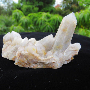 Shiny 10 Fingered Milky Spirit Quartz Crystal Cluster-ZimZan Gemstones